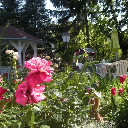 Haus Jeremias Therme Lejlighed *