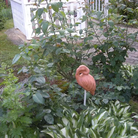 Lejlighed Haus Jeremias Therme