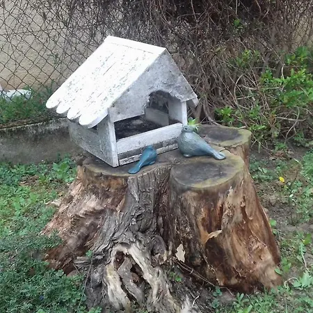 Haus Jeremias Therme 公寓