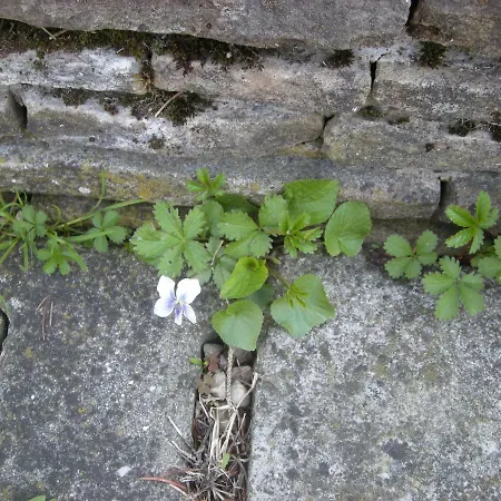 Haus Jeremias Therme