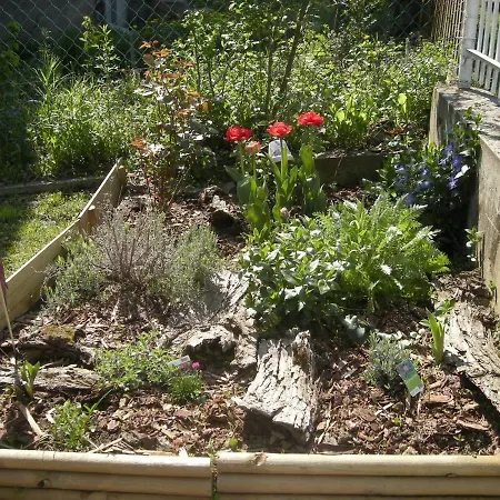 Lejlighed Haus Jeremias Therme *