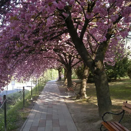 Haus Jeremias Therme Zalakaros