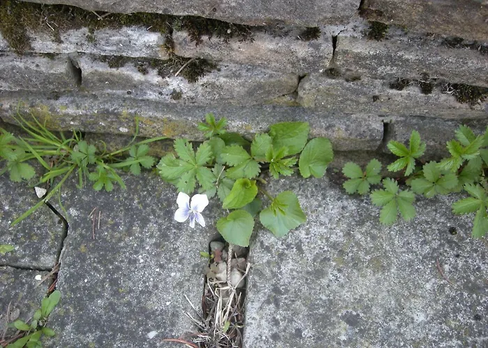 Haus Jeremias Therme