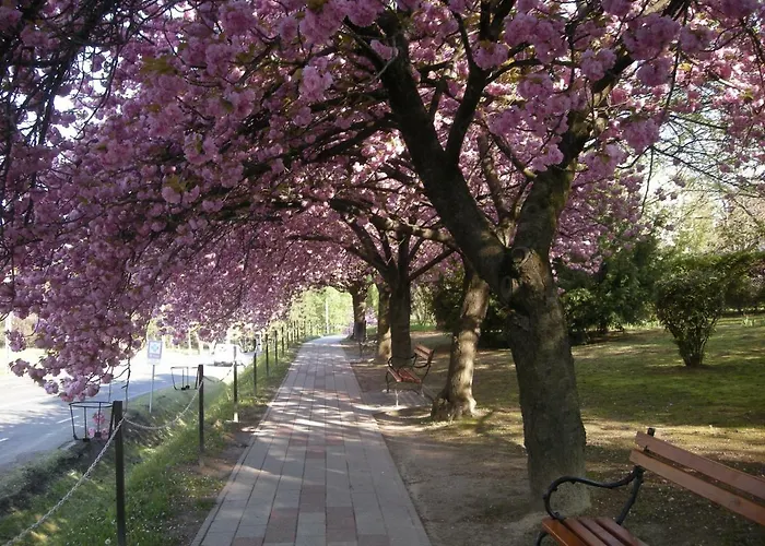 Haus Jeremias Therme Zalakaros
